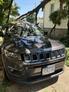 A large tree fallen onto a car, requiring emergency tree removal service from Rothman Tree Service in Des Moines, IA.