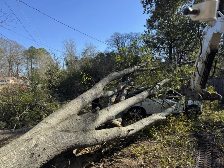 Heavy equipment removing a large fallen tree from a damaged car after a storm by Patriot Stump & Land in Montgomery, AL.