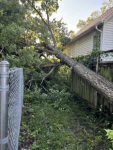 A large tree fallen over a fence and onto a house, requiring emergency tree removal from Rothman Tree Service in Des Moines, IA.