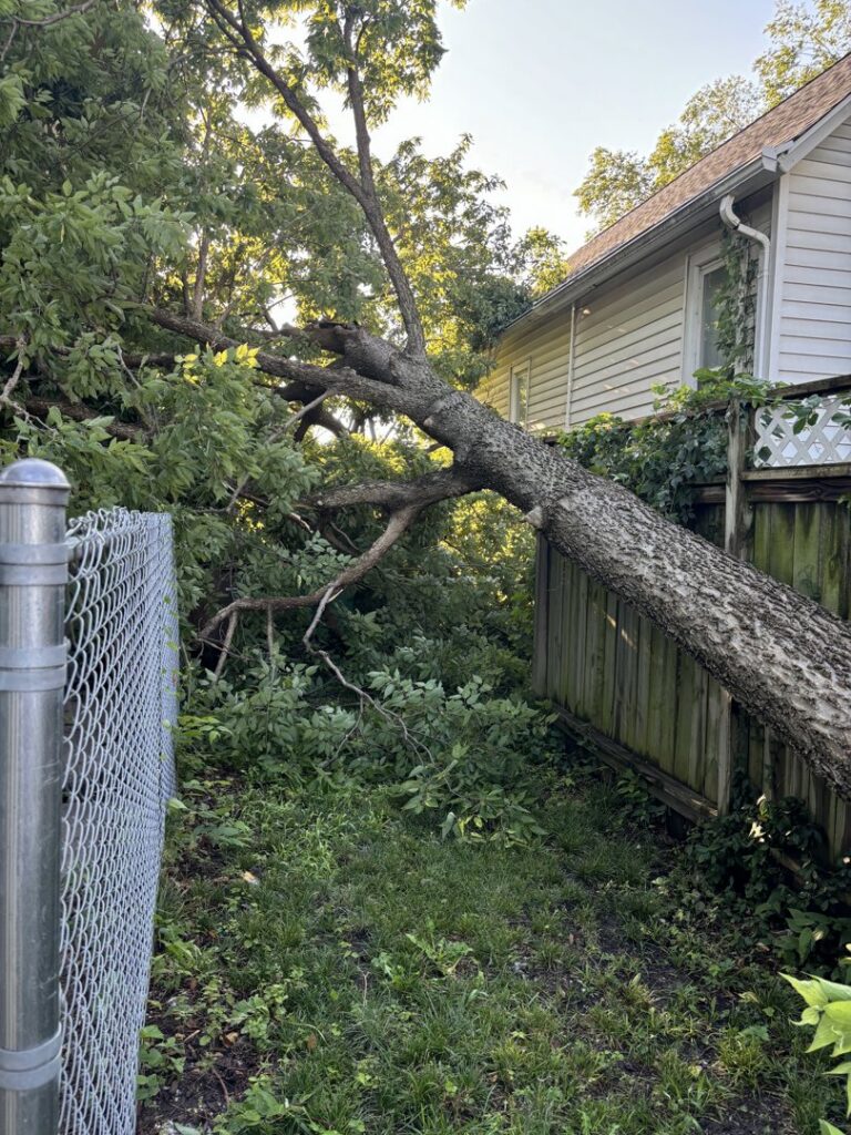 A large tree fallen over a fence and onto a house, requiring emergency tree removal from Rothman Tree Service in Des Moines, IA.