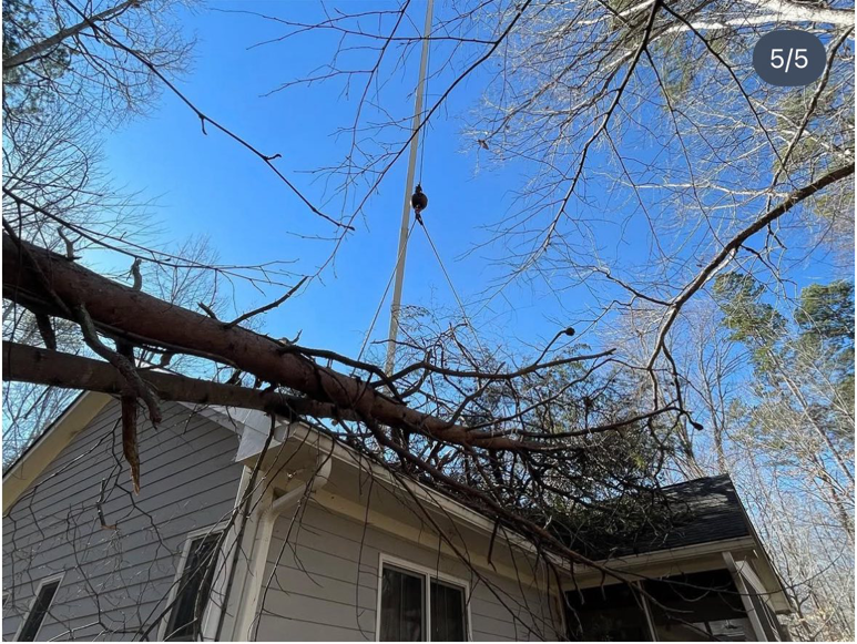 A large fallen tree branch resting on a house, with a crane ready for cleanup by MacNeela's Tree Service in Durham, NC