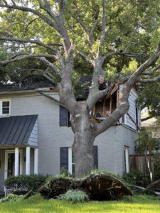A large tree fallen onto a residential house, requiring emergency tree removal by JG Tree Service in Philadelphia, PA.