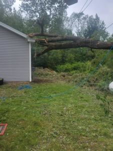 A large fallen tree trunk resting on a house, indicating emergency tree removal by BlueWater Tree Service, LLC in Bangor, ME.