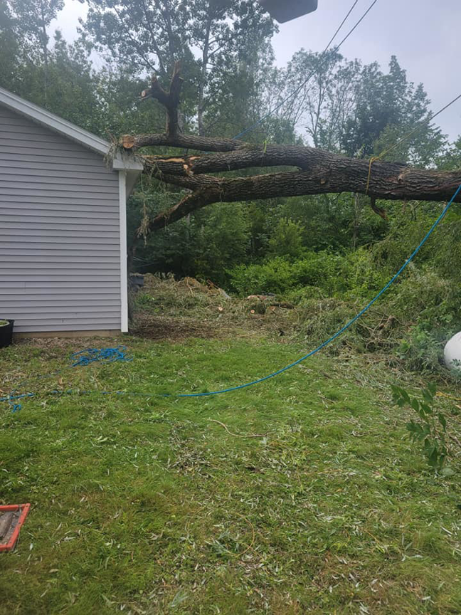 A large fallen tree trunk resting on a house, indicating emergency tree removal by BlueWater Tree Service, LLC in Bangor, ME.
