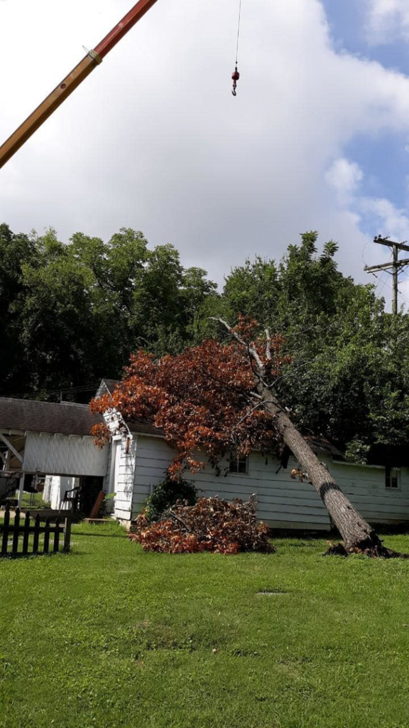 A large fallen tree resting on a house, indicating emergency tree removal by Hughes Tree Service in Murfreesboro, TN.