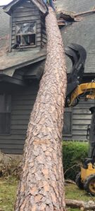 A large fallen tree trunk being carefully removed from a damaged house roof by Victor Tree Services in Houston, TX.