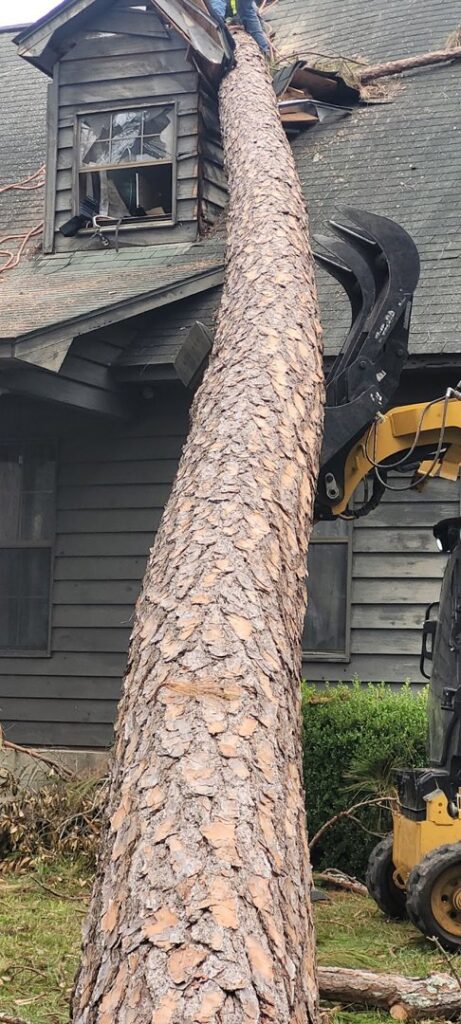 A large fallen tree trunk being carefully removed from a damaged house roof by Victor Tree Services in Houston, TX.