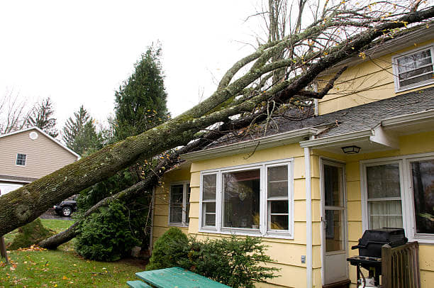 Large tree fallen onto the roof of a house, showing storm damage requiring tree removal by Scott's Handy Man and tree service in Rock Hill, SC