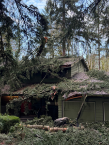 A large fallen tree on a house, showing storm damage cleanup needed by Joe Grab Tree Service in Tualatin, OR.
