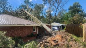 A large fallen tree resting on a house after storm damage, requiring emergency tree removal by Joshua Tree Service in Smyrna, GA.
