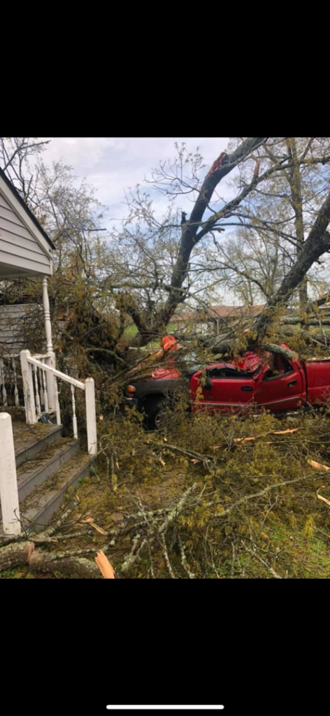 A large fallen tree on a house and truck, showing storm damage cleanup by Arbor Management Services in Shreveport, LA.