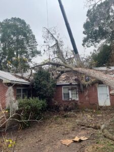 A large fallen tree on a house roof being removed with a crane by Tates Tree Service in Shalimar, FL.