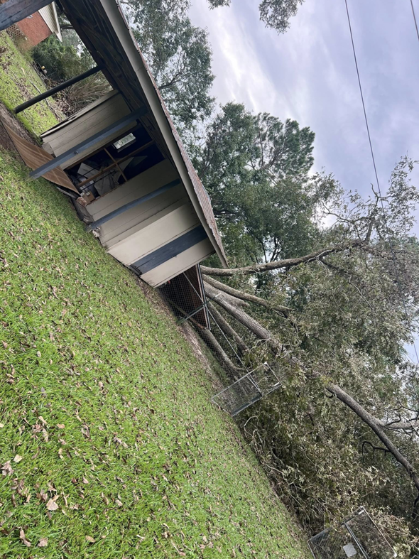 A large fallen tree resting on a shed and fence, requiring emergency tree removal services from Padgett Land Services in Albany, GA.