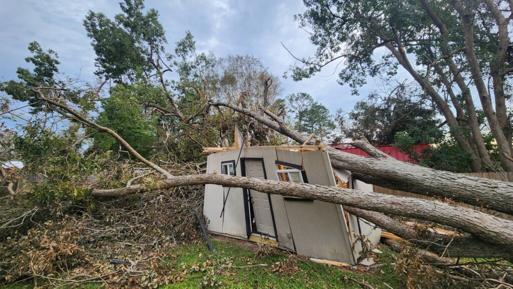 A large fallen tree has crushed a shed, showing storm damage requiring cleanup by Joshua Tree Service in Smyrna, GA.
