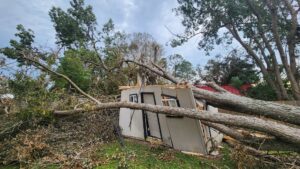 A large fallen tree has crushed a shed, showing storm damage requiring cleanup by Joshua Tree Service in Smyrna, GA.