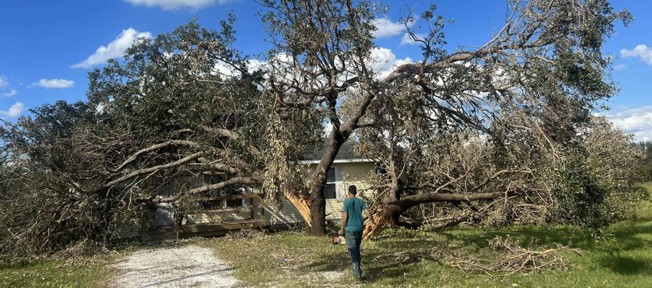 A Kono Tree Care worker assessing a large fallen tree on a house for removal after a storm in Virginia Beach, VA.