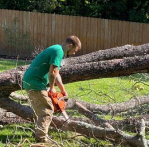 A worker cutting a fallen tree trunk with a chainsaw during tree removal by Michael Wayne's Landscaping & Tree Service in Columbia, SC.