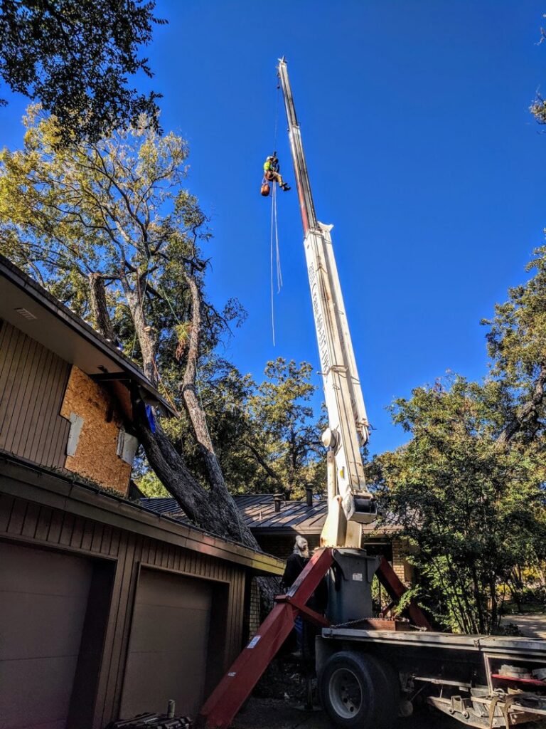A fallen tree being removed from a house using a crane and arborist by Lone Star Arborists in Jackson, MS