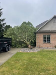 A large fallen tree next to a house, ready for removal by Father and Son Tree Service in Lansing, MI.