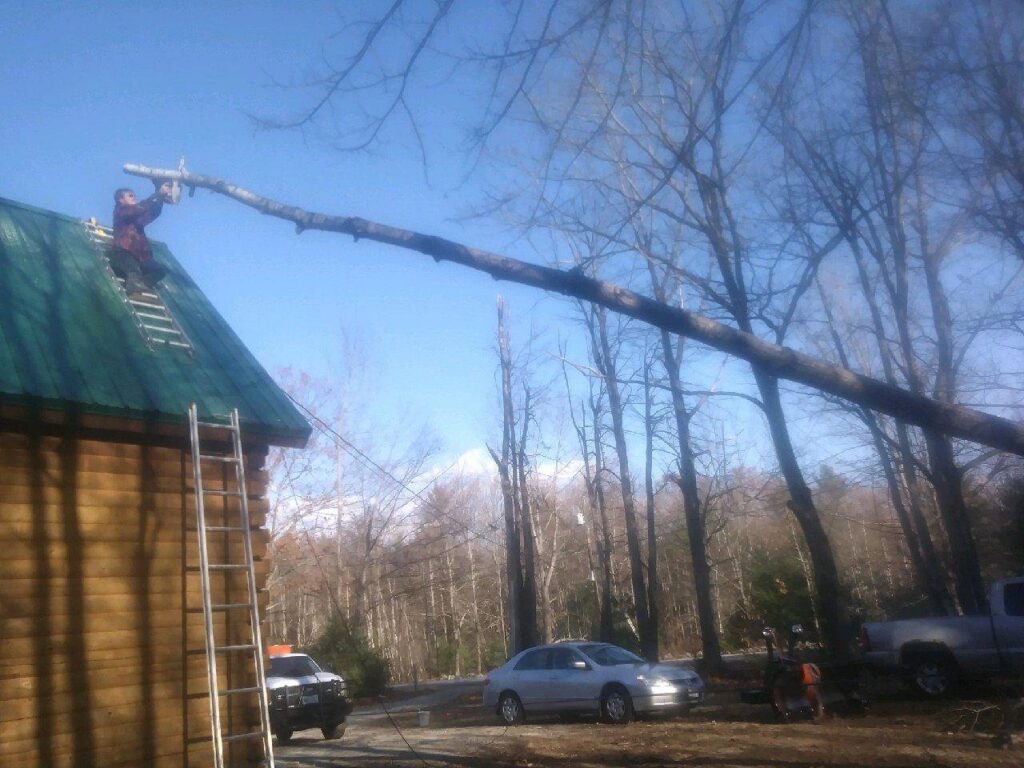 A tree surgeon from Bryan McFadden LLC Tree Surgeon removing a fallen tree branch from a roof in Auburn, ME.