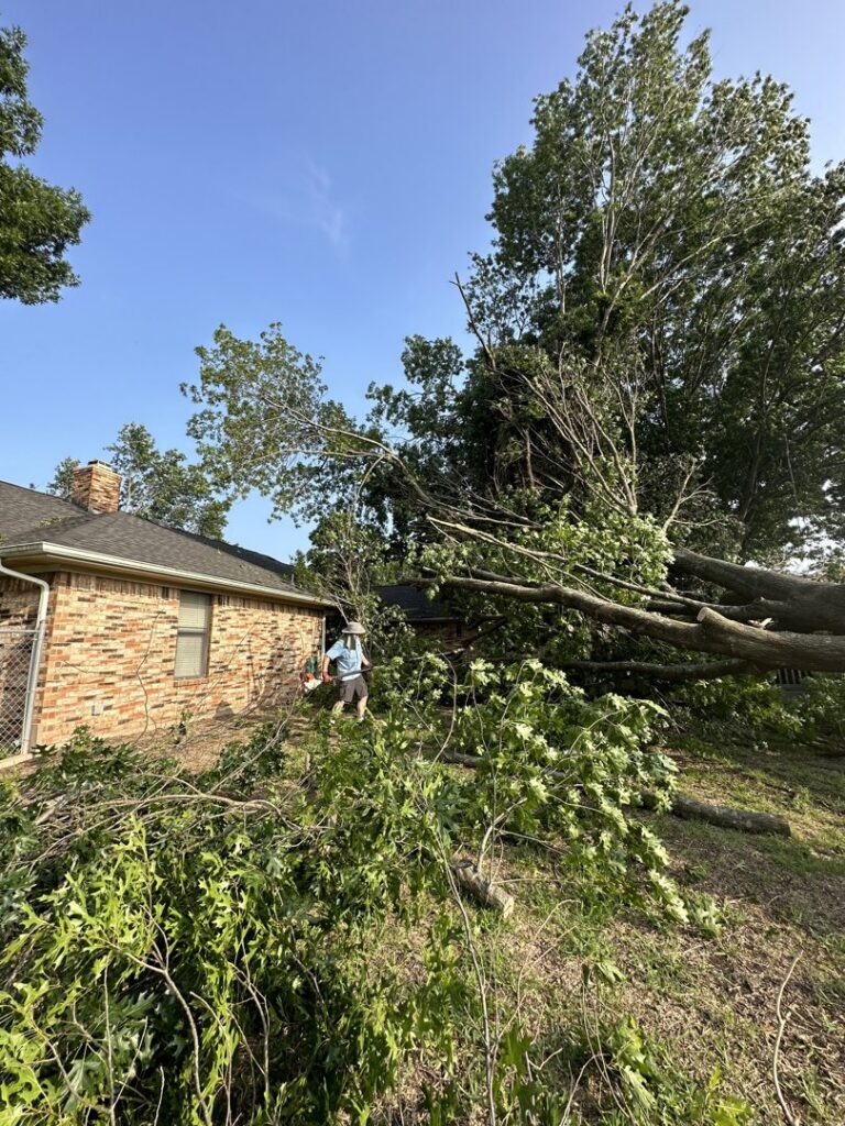 A worker beginning the removal of a large fallen tree next to a house for Parker TX Tree Service in Plano, TX.