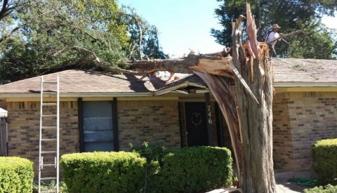 A large fallen tree on a house, with a worker beginning removal after storm damage by Good Hands Tree Service in Dallas, TX
