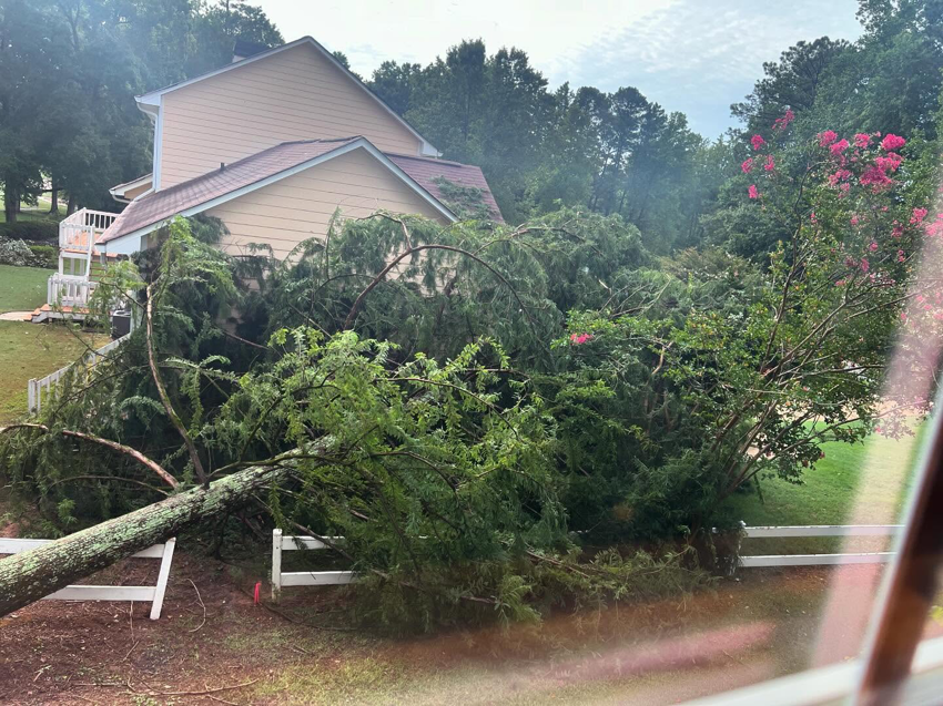 A large fallen tree resting on a fence near a house, showing storm damage cleanup by Ricardo's Tree Service in Woodstock, GA.