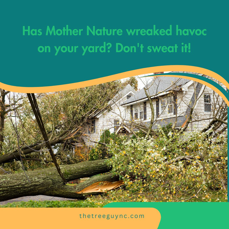 A large fallen tree across a residential yard after storm damage, requiring cleanup by The Tree Guy LLC in Spencer, OK.