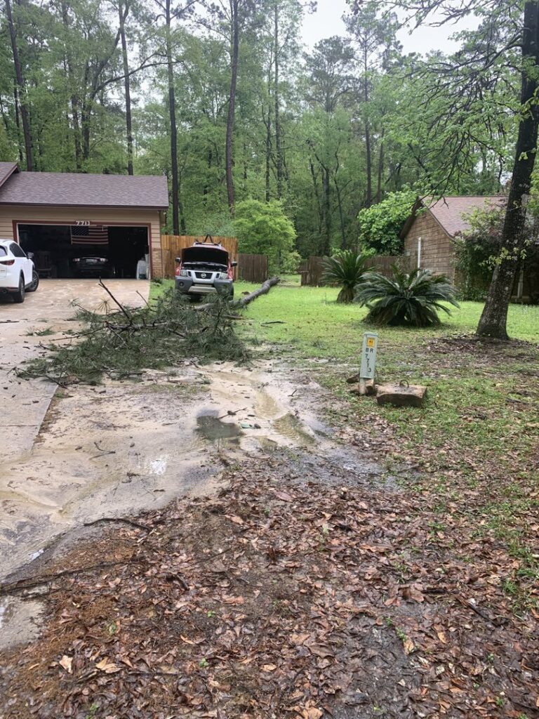 A large fallen tree trunk and branches blocking a driveway, ready for cleanup by Miller's Tree Service in Tallahassee, FL.