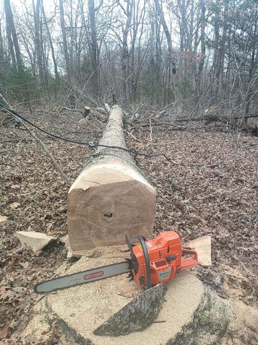 A large felled tree trunk with a chainsaw resting on a stump, showing logging work by KT Farms, Tree Service & Logging LLC in Springfield, MO.