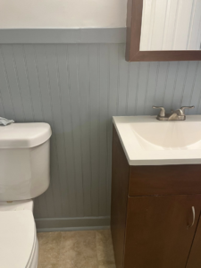 A newly painted light blue/grey beadboard bathroom wall next to a toilet and vanity, completed by Coach Rose Painting Team in Norfolk, VA.