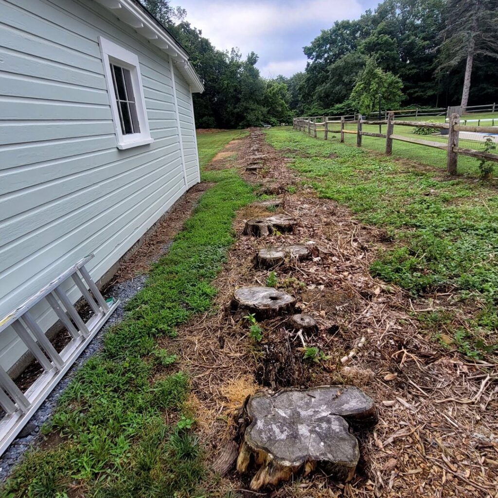 A neatly finished wood chip path next to a building, demonstrating the cleanup work by Green Mtn Stump Grinding in Montpelier, VT.