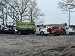 A fleet of tree service equipment, including trucks, a wood chipper, and a bobcat, from Danilo's Tree Service and Landscaping in Dallas, GA.