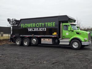 A large green Flower City Tree service truck used for debris removal in Rochester, NY.