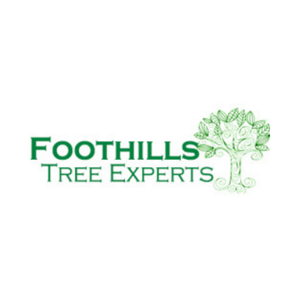 Foothills Tree Experts