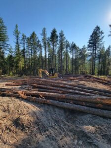 A forest area cleared with many logs piled up and an excavator, showing work by Flathead Tree Services in Kalispell, MT