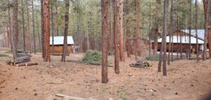 Cleared forest land with piles of cut logs and brush, indicating fire prevention work by All Around Forestry LLC in Albuquerque, NM