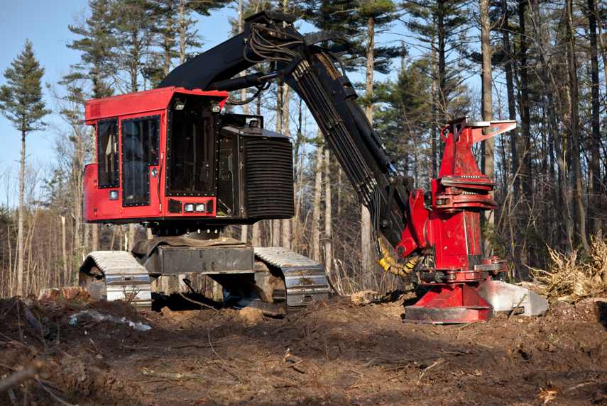 A large forestry harvester machine used for tree removal by Carolina Property Solution and Tree Service in Concord, NC.