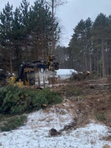 Heavy forestry machinery processing trees in a snowy, wooded area for Klee Logging & Tree Service Inc. in Green Bay, WI.