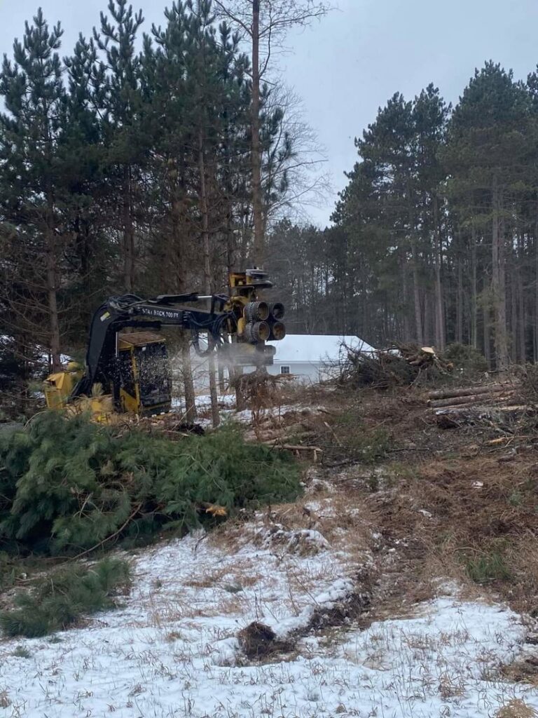 Heavy forestry machinery processing trees in a snowy, wooded area for Klee Logging & Tree Service Inc. in Green Bay, WI.