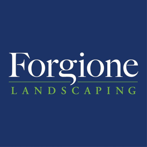 Forgione Landscaping