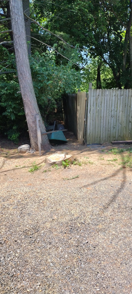 A freshly cut tree stump next to a wooden fence, indicating recent tree removal by Rustyn Page Landscaping in Harrisburg, PA.