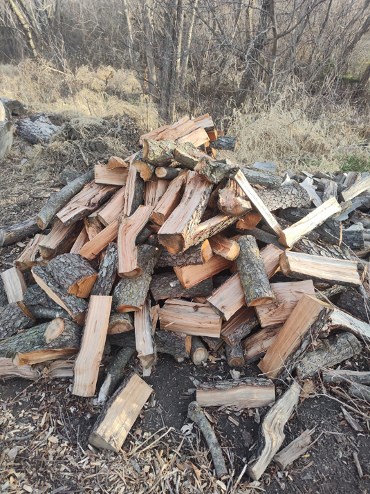 Freshly cut wood from a tree service project by Hoffman Construction Services, LLC in Saint Joseph, MO.