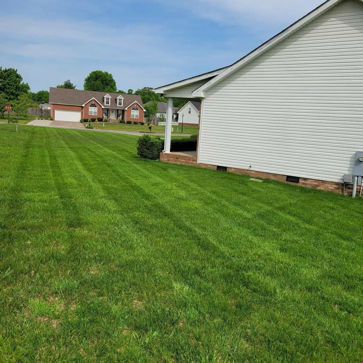 A freshly mowed and striped lawn along the side of a house by Home and Land Services in Clarksville, TN