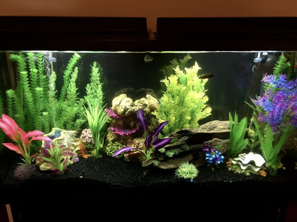 A vibrant freshwater aquarium setup with artificial plants and decor by NC Aquascapes in Cary, NC.