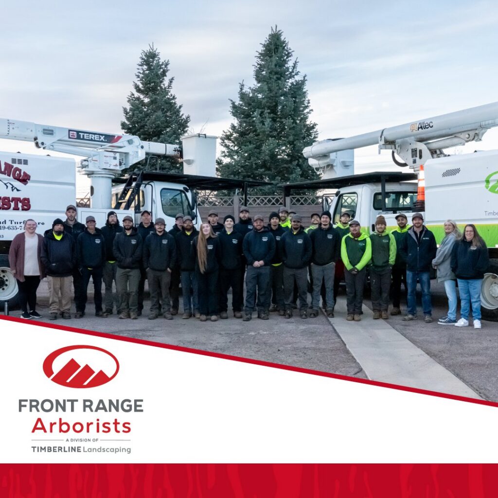 The team of Front Range Arborists standing with their bucket trucks in Colorado Springs, CO.