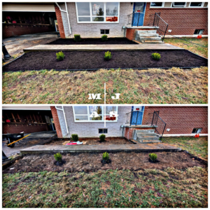 Before and after of front yard landscaping with new plants and mulch by Moore Jobs and Services in Bristol, VA.