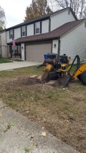 A professional stump grinder actively removing a tree stump in a residential front yard, performed by ES Tree Services Llc in Columbus, OH