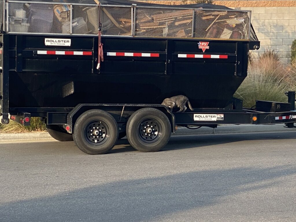 A full roll-off dumpster on a trailer, covered with a net, ready for transport by Bakersfield Roll-Off Service in Bakersfield, CA.