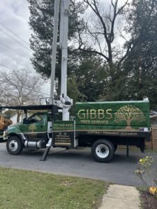 A branded Gibbs Tree Service truck with an extended bucket lift parked on a residential street in Seaford, DE.